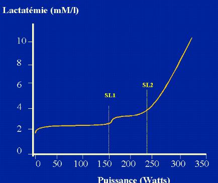 découvrez l'importance du seuil lactique dans l'entraînement sportif pour optimiser vos performances et mieux gérer l'effort lors de vos séances.