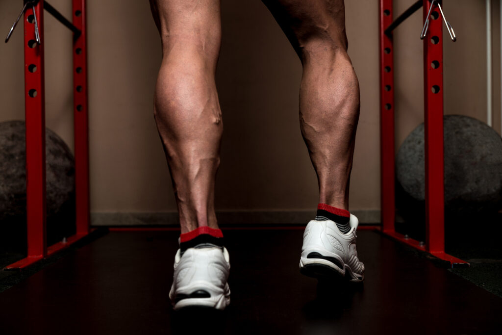 découvrez les meilleures méthodes pour muscler vos mollets efficacement et rapidement, avec des exercices adaptés à tous les niveaux.