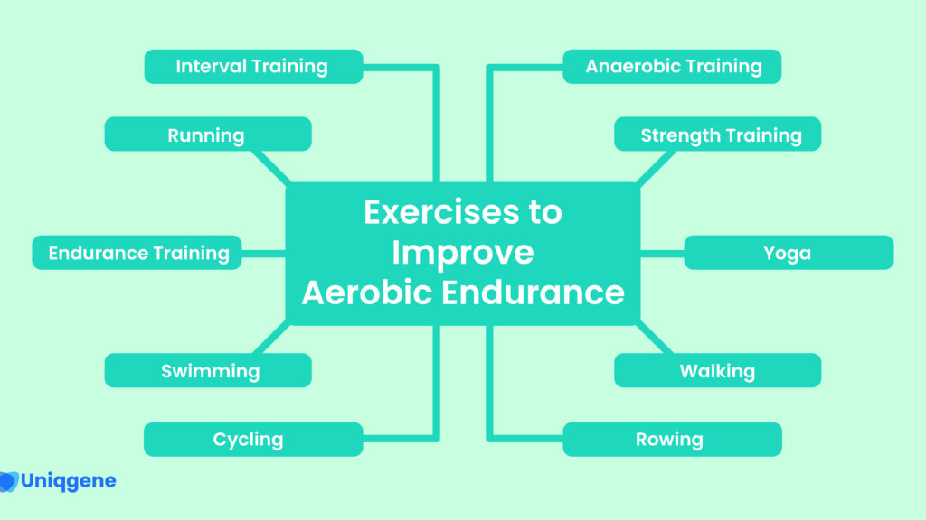 améliorez votre endurance aérobie grâce à des exercices ciblés pour booster votre vitalité et votre performance cardiovasculaire.