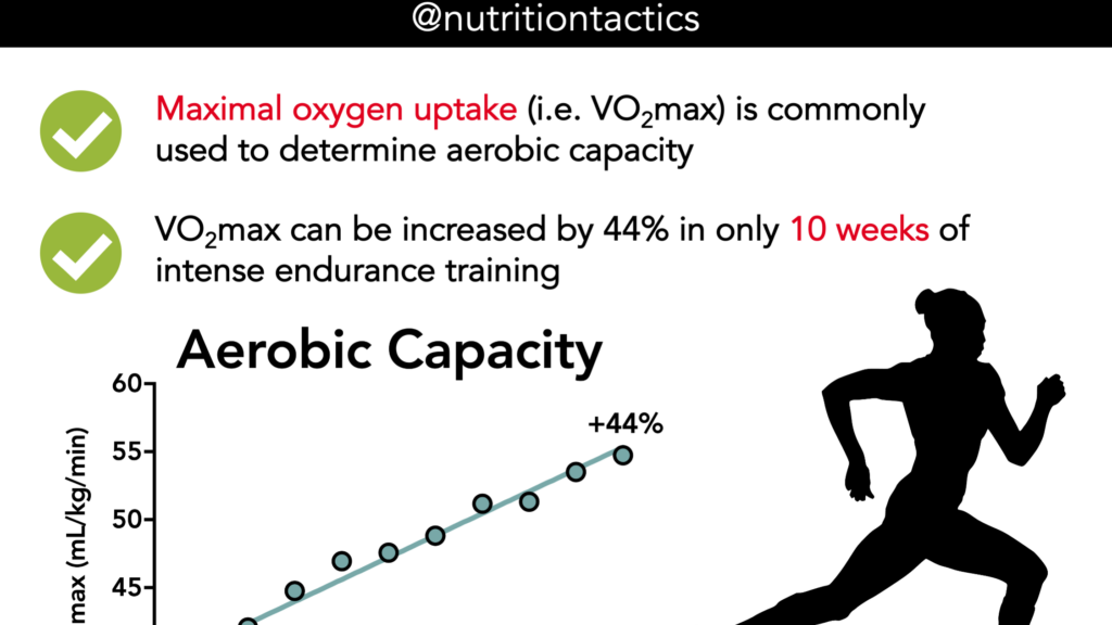 découvrez comment améliorer votre capacité aérobie pour optimiser votre endurance et performance cardiovasculaire grâce à des conseils d'exercices et de nutrition adaptés.