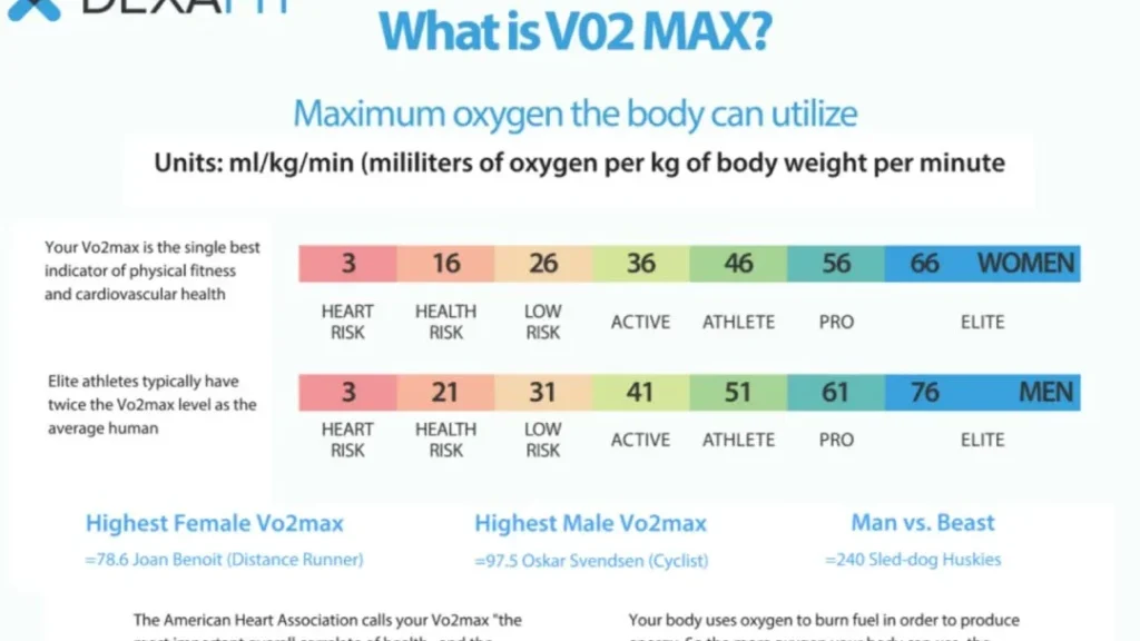 découvrez tout sur le vo2max, un indicateur clé de votre capacité cardiovasculaire et de votre performance sportive. apprenez comment le mesurer et l'améliorer efficacement.