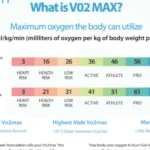 Vma et vo2max : comprendre leurs rôles dans l&rsquo;amélioration des performances sportives