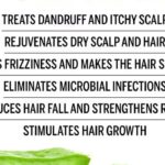 Les bienfaits du gel d&rsquo;aloe vera pour des cheveux sains et brillants