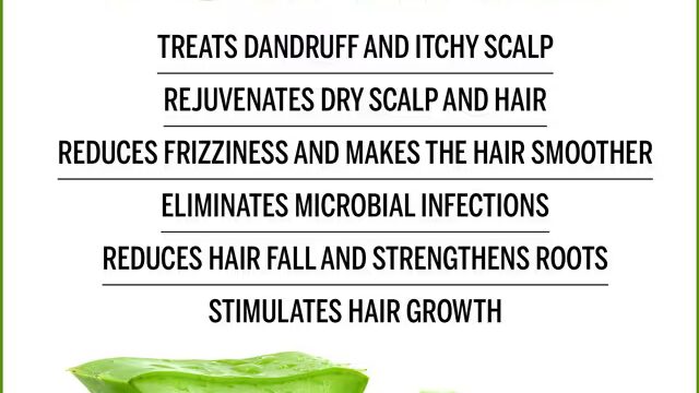 découvrez les bienfaits de l'aloe vera pour vos cheveux : hydratation naturelle, renforcement, réduction des pellicules et stimulation de la croissance pour des cheveux sains et brillants.