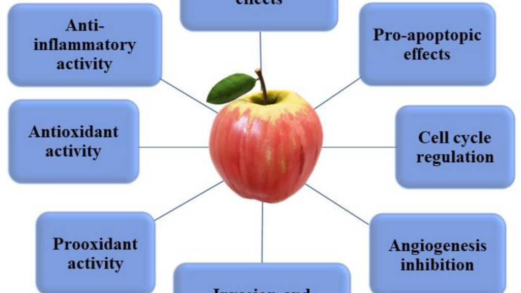 découvrez les effets anticoagulants de la pomme, un fruit naturel aux propriétés bénéfiques pour la santé cardiovasculaire et la prévention de la coagulation sanguine.