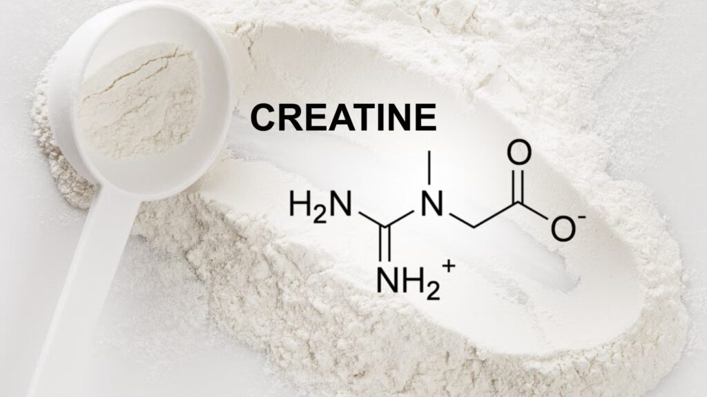 découvrez les bienfaits de la créatine pour améliorer vos performances sportives et augmenter votre masse musculaire de façon naturelle et efficace.